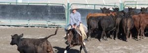 Elko County Fair