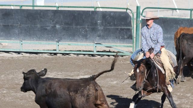 Elko County Fair