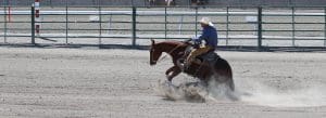 Elko County Fair