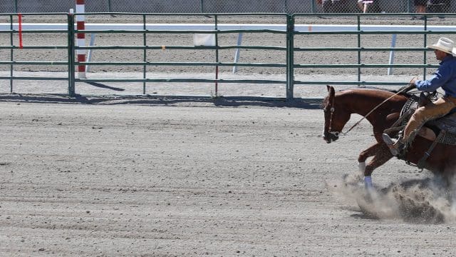 Elko County Fair