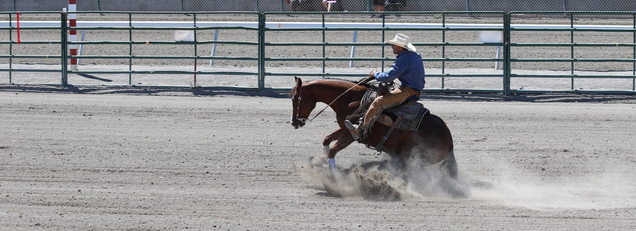 Guest_MH - Elko County Fair