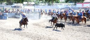 Elko County Fair