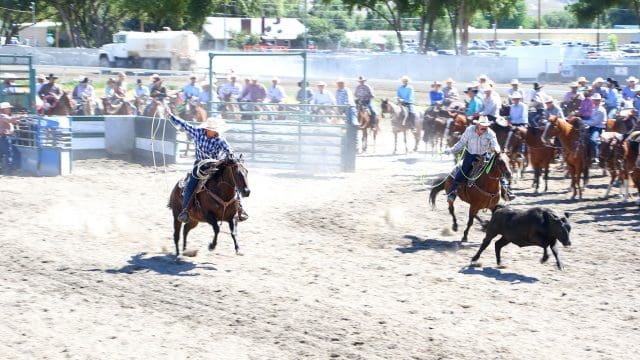 Elko County Fair