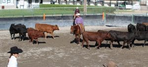 Elko County Fair