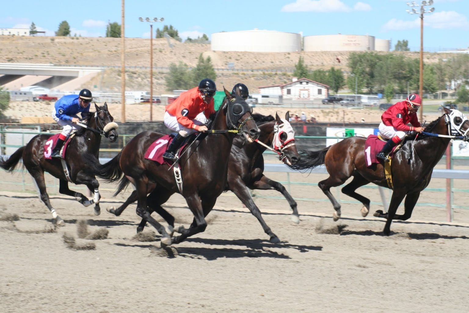 IMG_2786 Elko County Fair