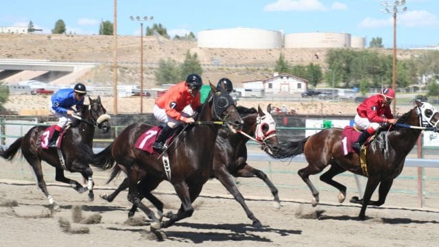 Elko County Fair Horse Races