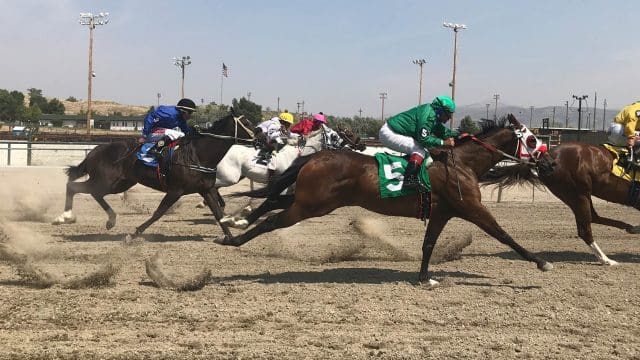 Elko County Fair Horse Racing