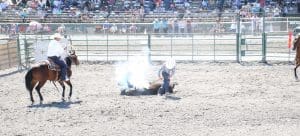 Elko County Fair