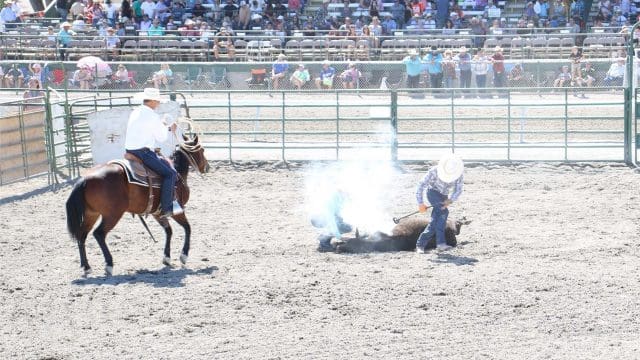 Elko County Fair