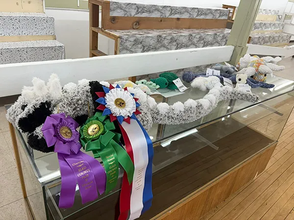 Home Arts Competition winners at the Elko County Fair